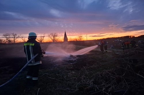 Einsatzübung Freiflächenbrand